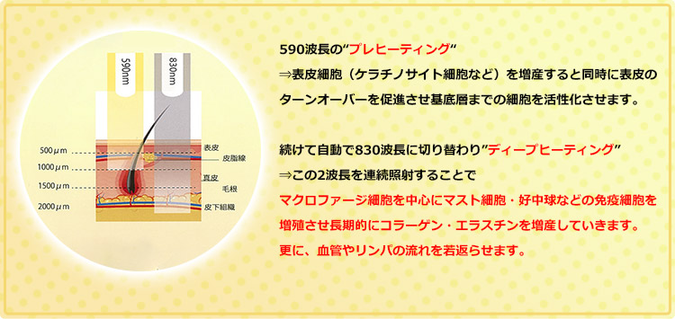 プレヒーティング/ディープヒーティング イメージ図