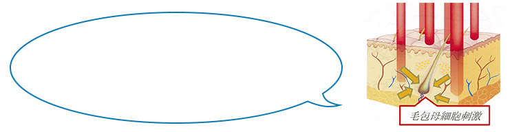 毛包母細胞刺激イメージ図