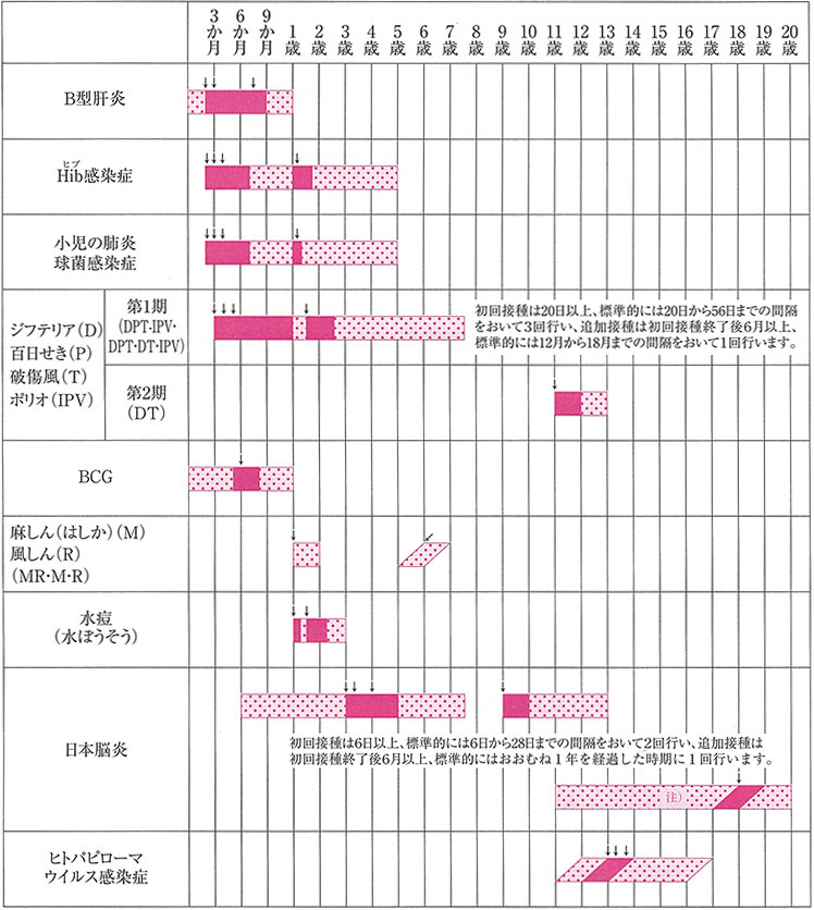 予防接種の計画